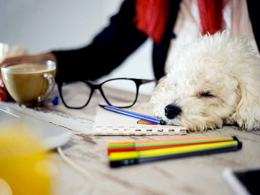 Image supporting the content of this page